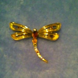 Dragonfly  brooch
